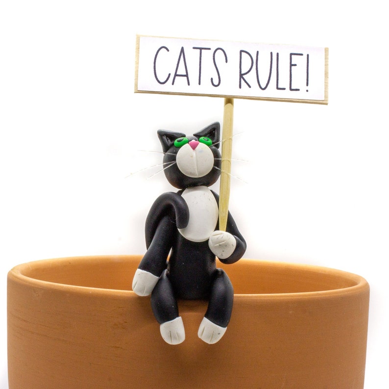 Funny Cat Pot Sitter