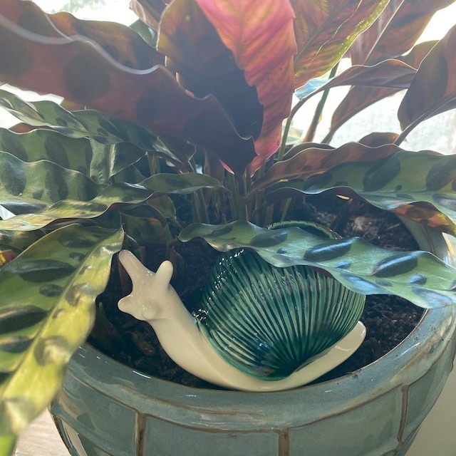 Funny Ceramic Plant Watering Spike