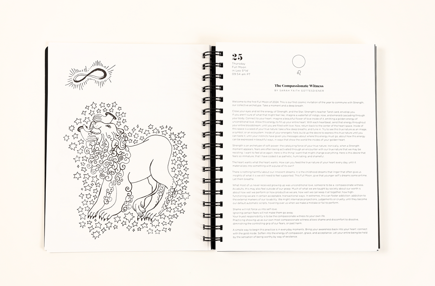 📚2025 Many Moons Lunar Planner