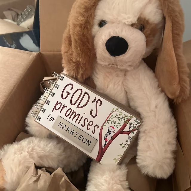 ✝Gods Promises Book for Toddlers - 🎁Christian Baptism Gift