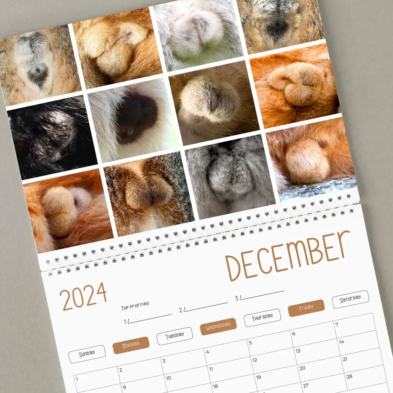 🤣Funny Cat Calendar 2024