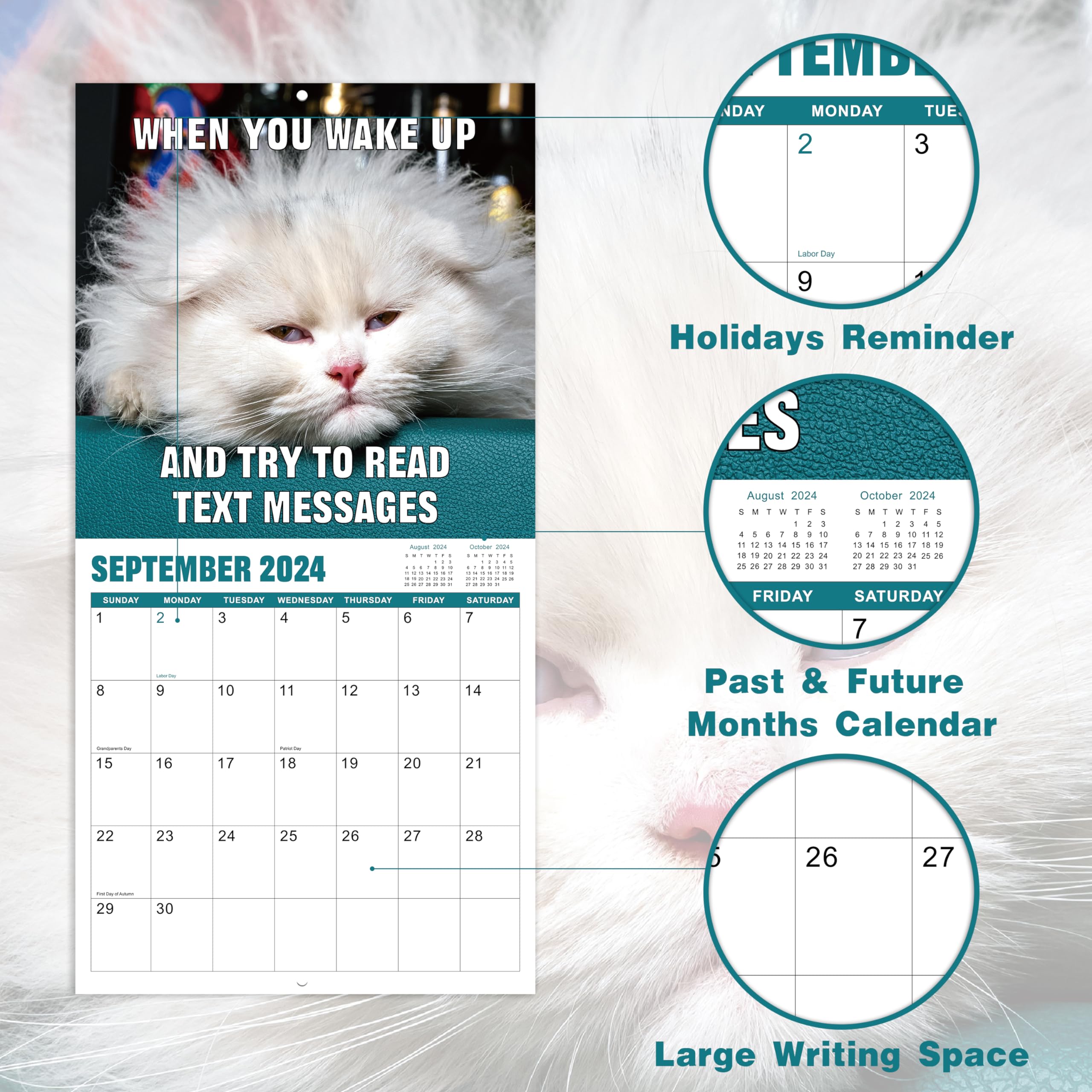 Funny Cat Calendar 2024