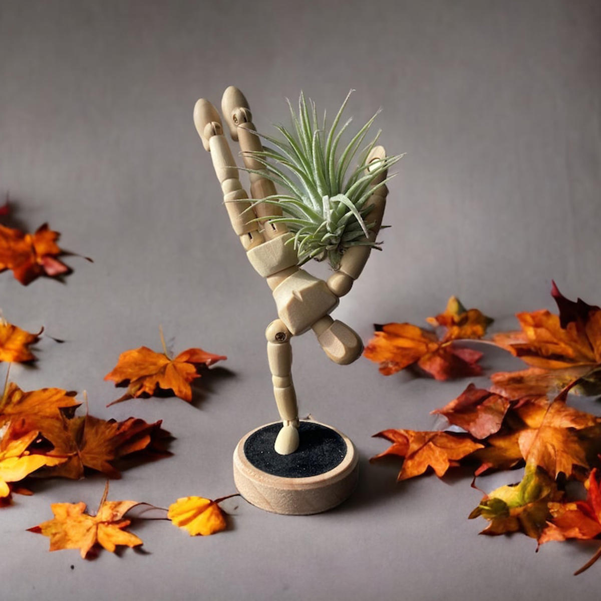 Unique Magnets Planters