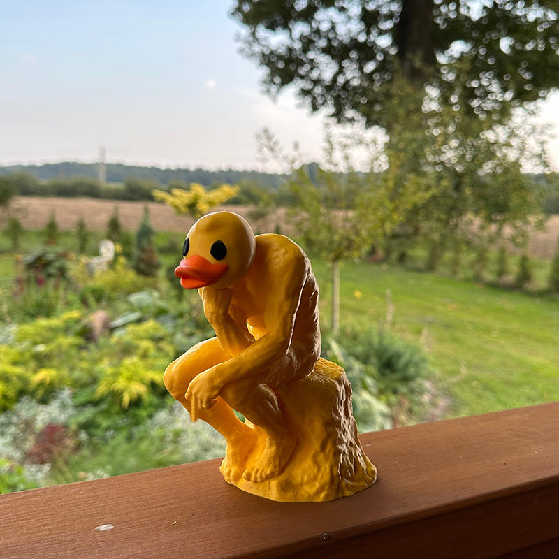 New Funny Thinker Middle Finger Duck
