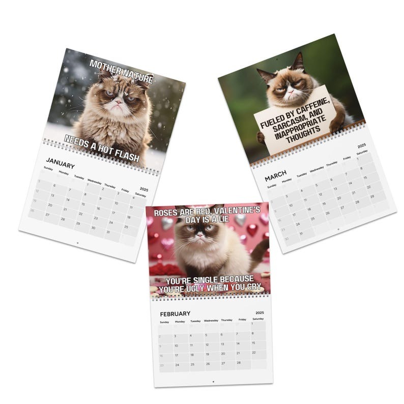 2025 funny cat calendar | angry cat calendar | funny cats