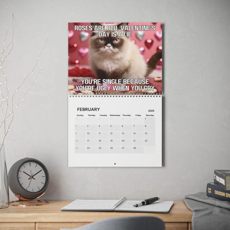 2025 funny cat calendar | angry cat calendar | funny cats