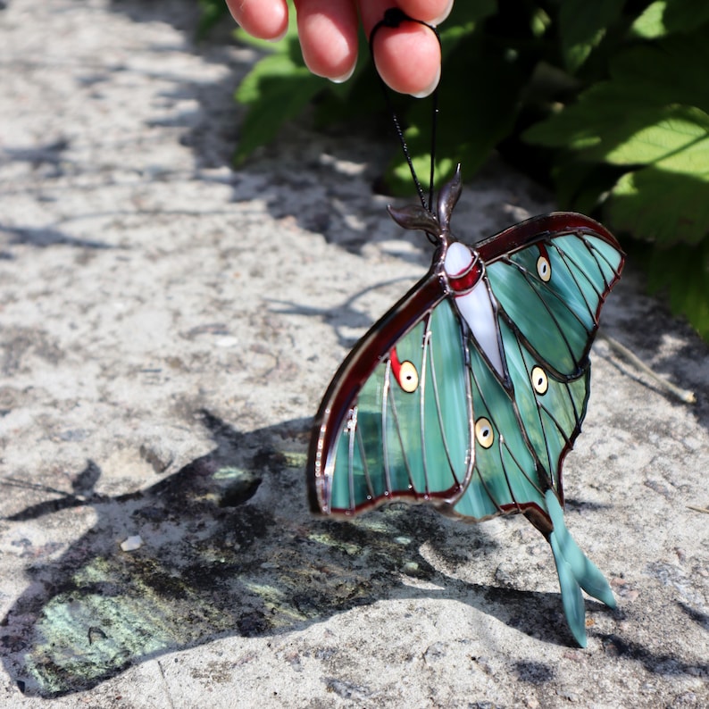 Luna moth butterfly suncatcher