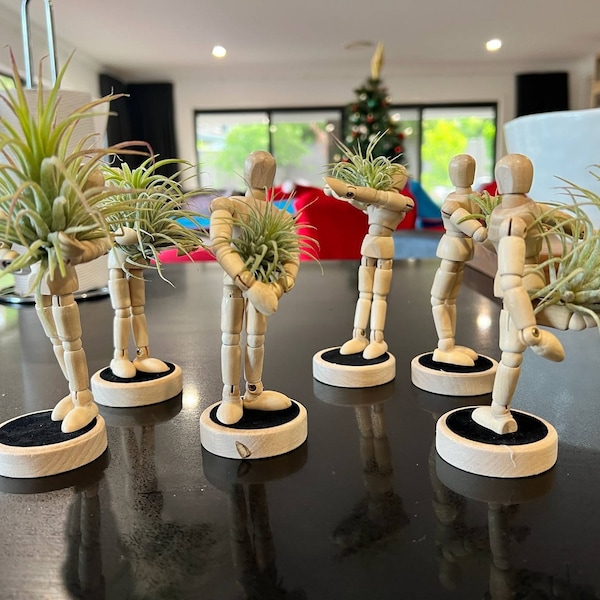 Unique Magnets Planters