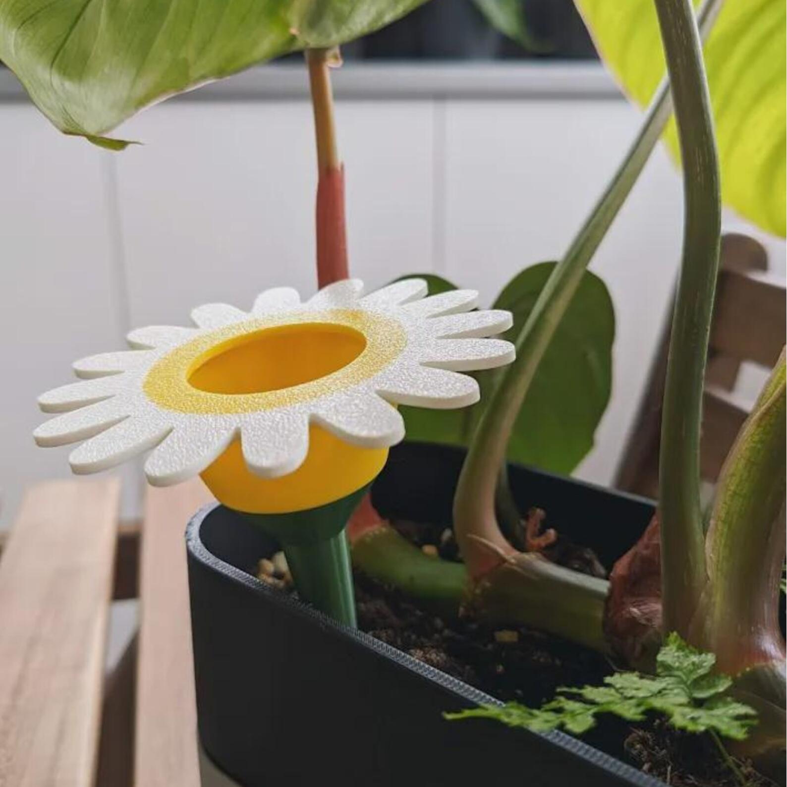 🌷Self Watering Planter - Plant Watering