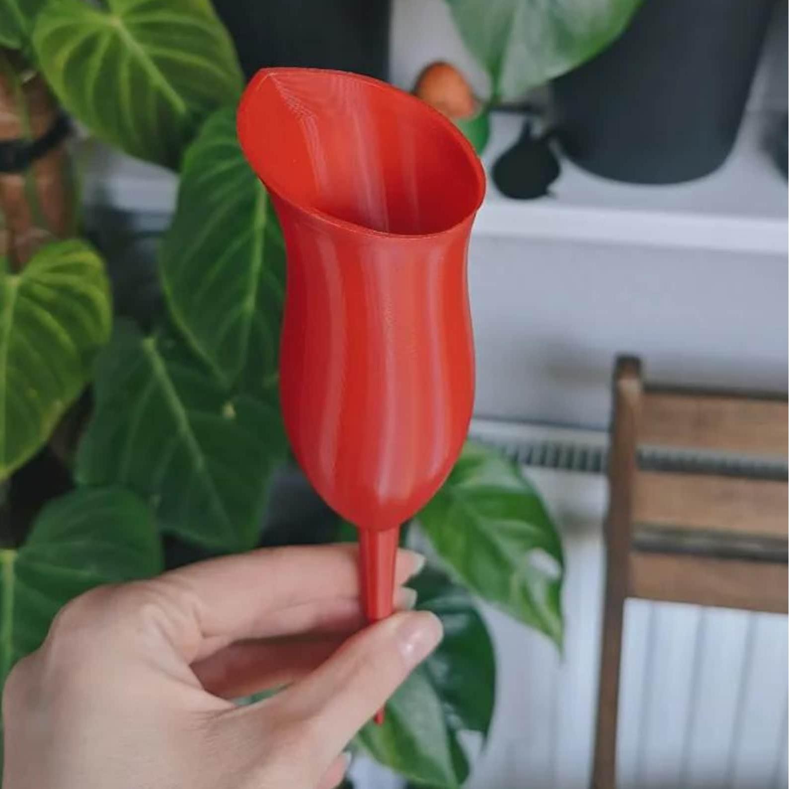 🌷Self Watering Planter - Plant Watering