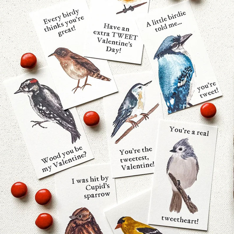 🔥🔥Valentine Gift 50% Off--Bird Valentine Cards