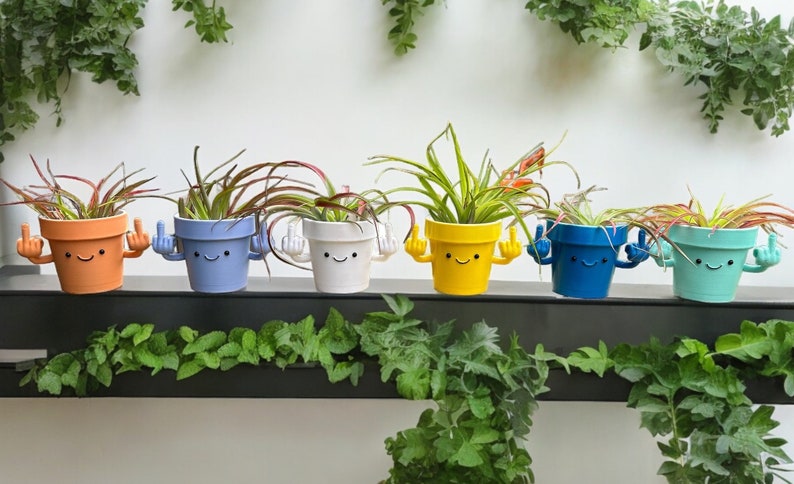 Funny & Unique Middle Finger Plant Pot