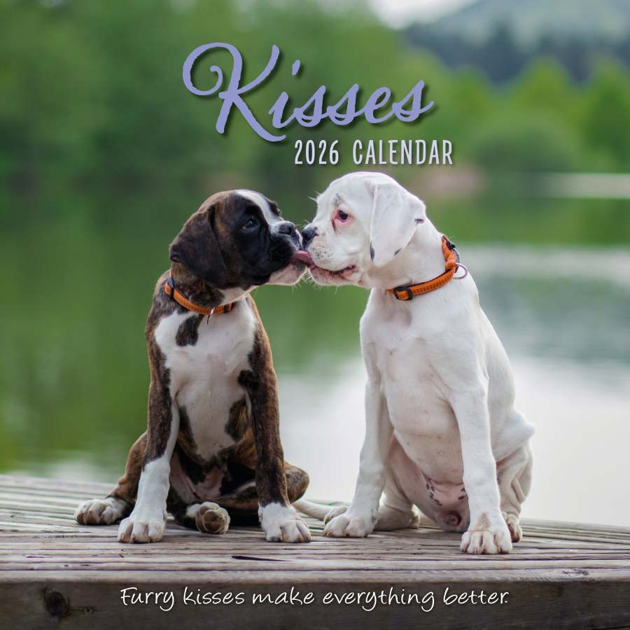 💋Kisses Square Wall Calendar 2026