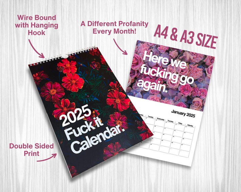 2025 Funny Fuck It Wall Calendar