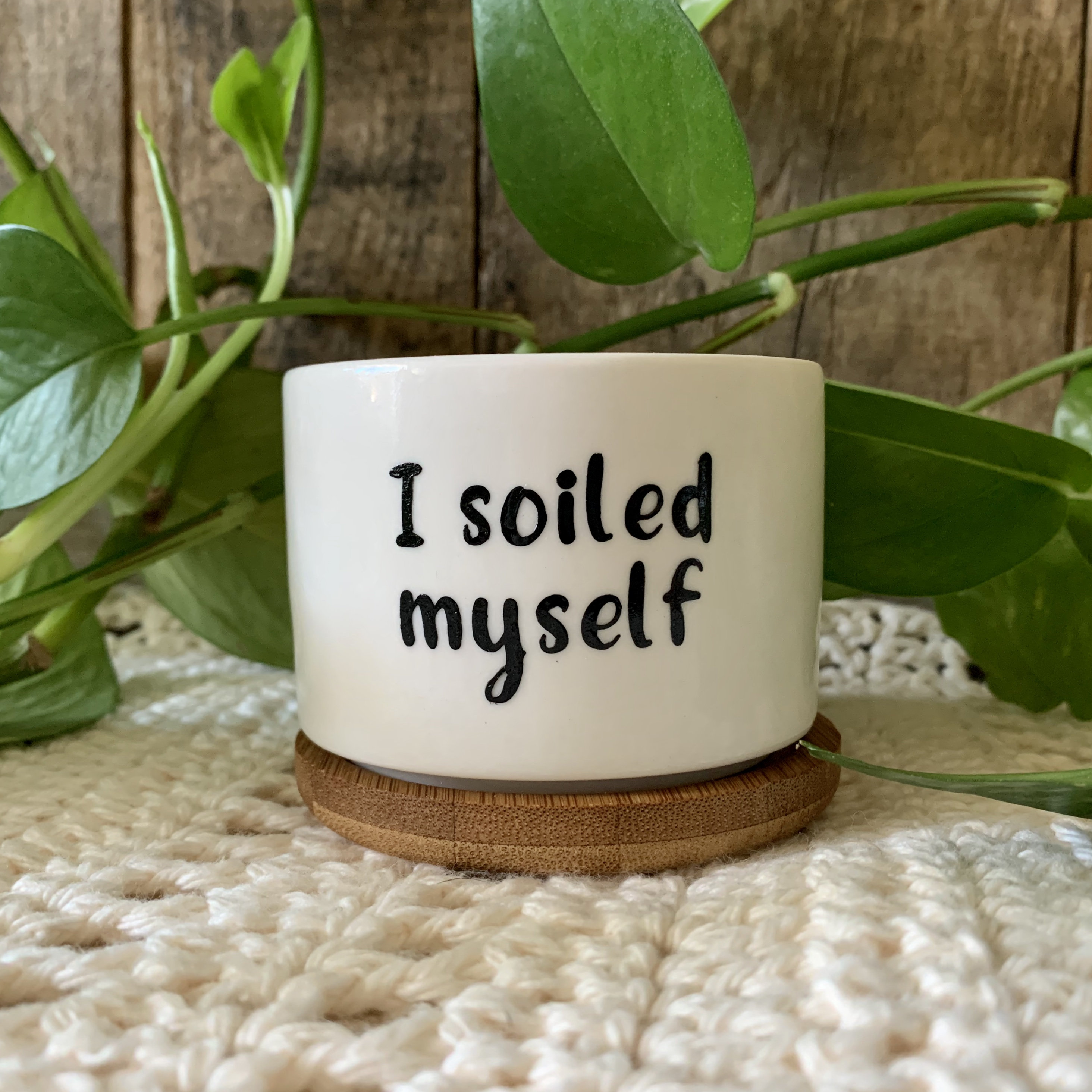 Funny unique succulent pots