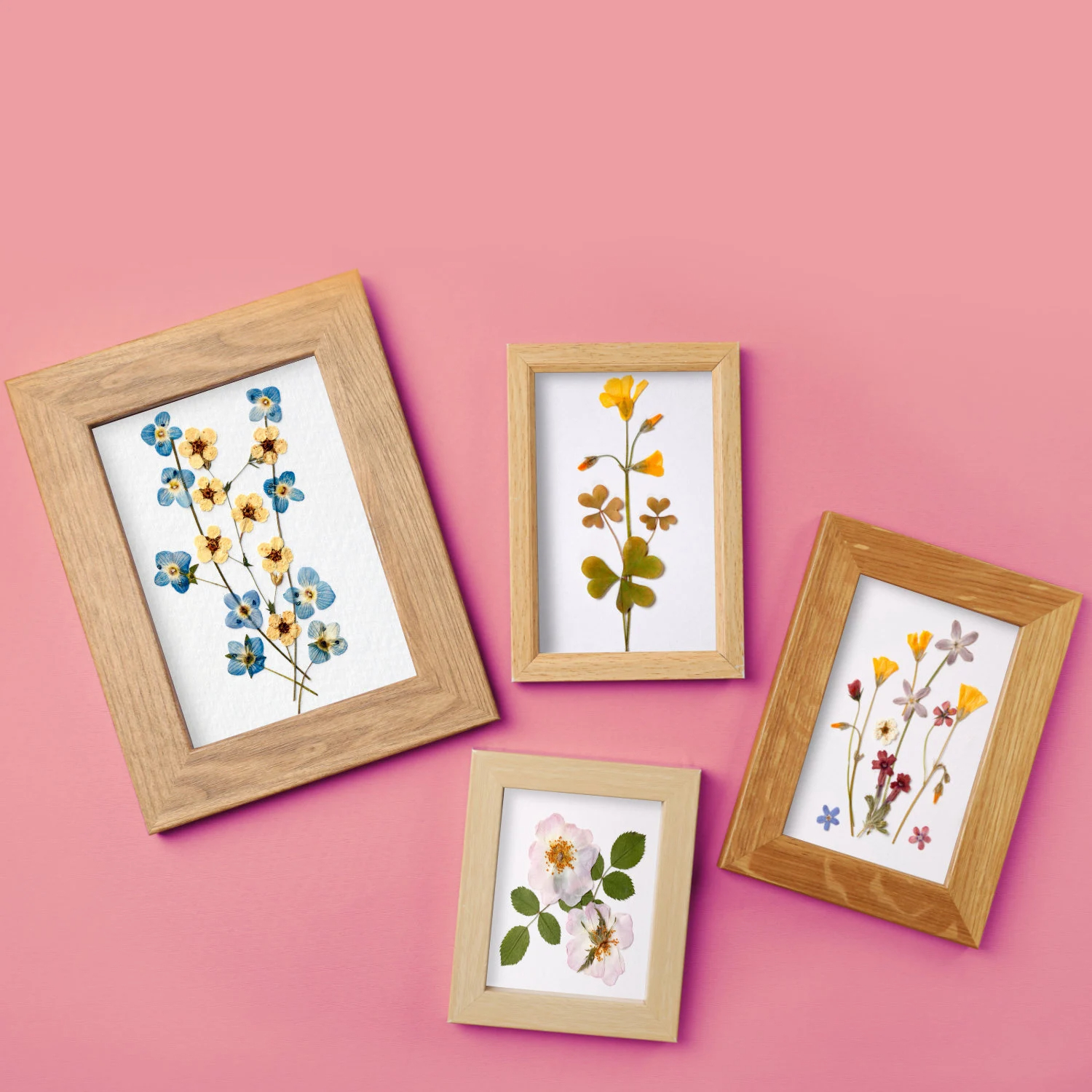 🌸Wooden Flower Press Kit - 🎁Great Gift For Arts and Crafts Lovers