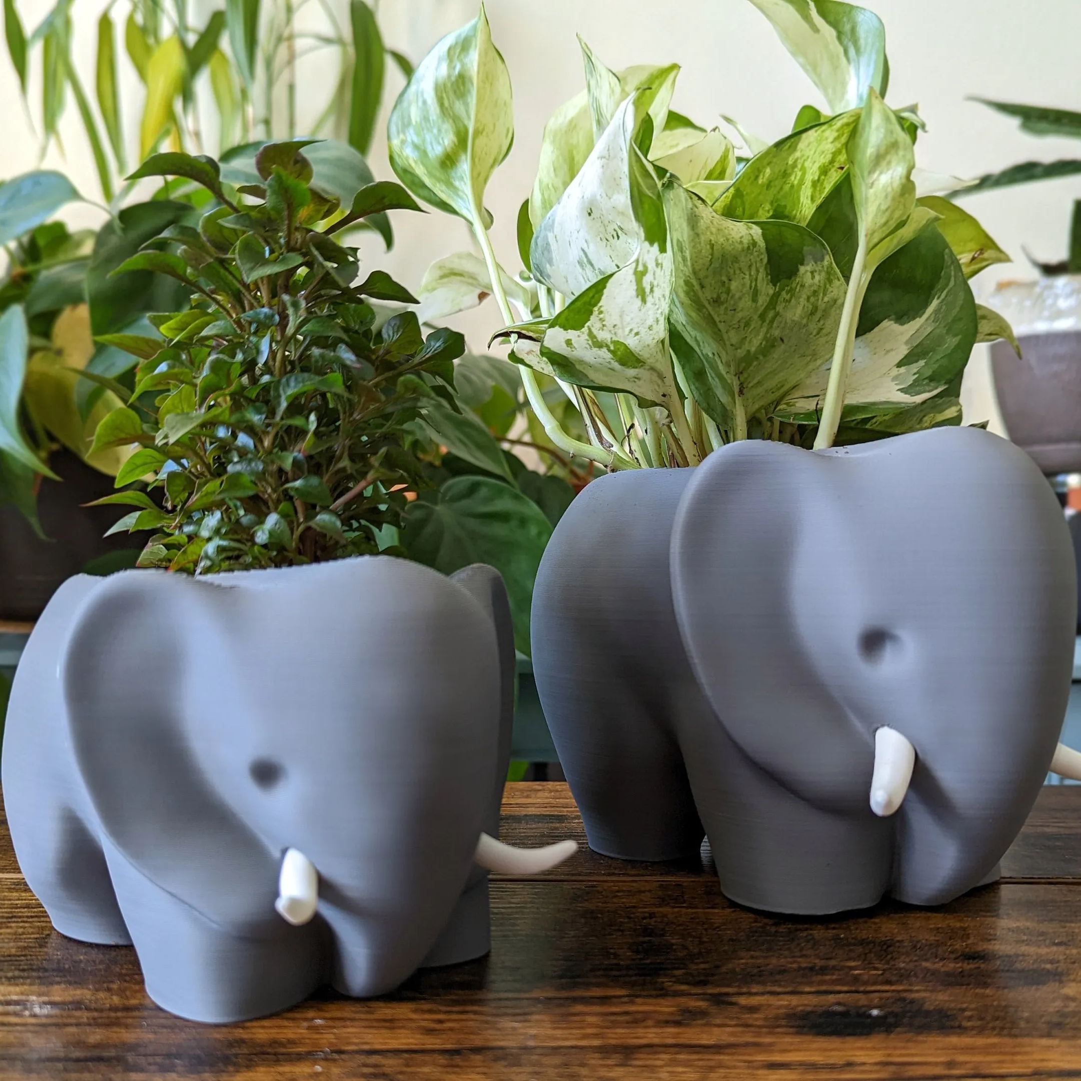 3D Printed Elephant Plant Pot