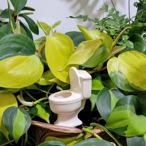 Funny Ceramic Plant Watering Spike