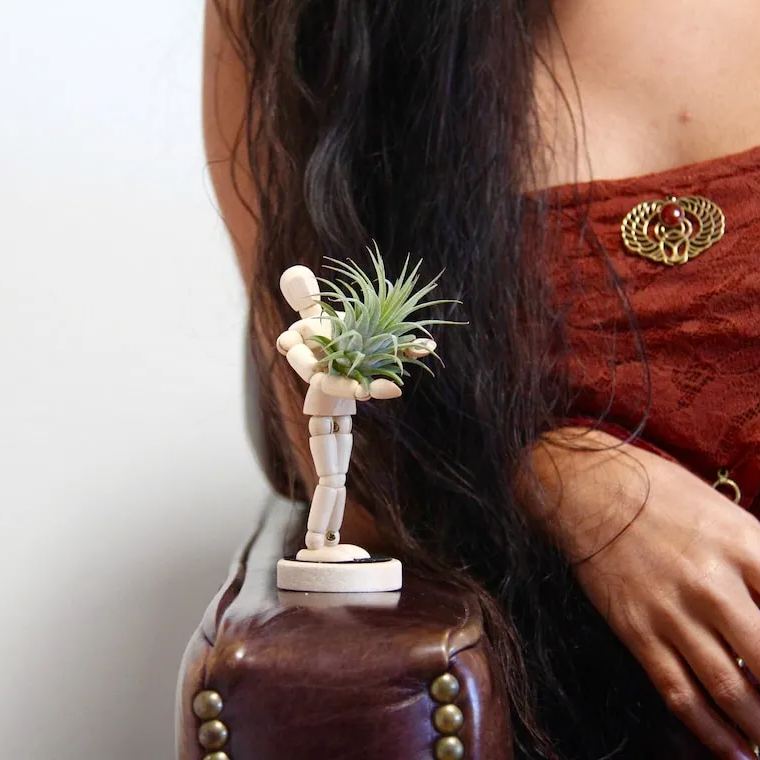 Unique Magnets Planters
