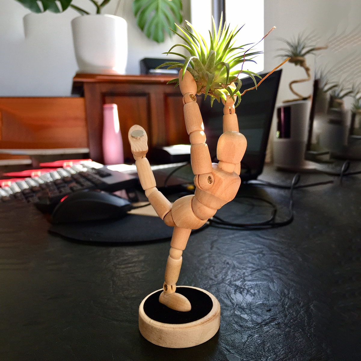 Unique Magnets Planters