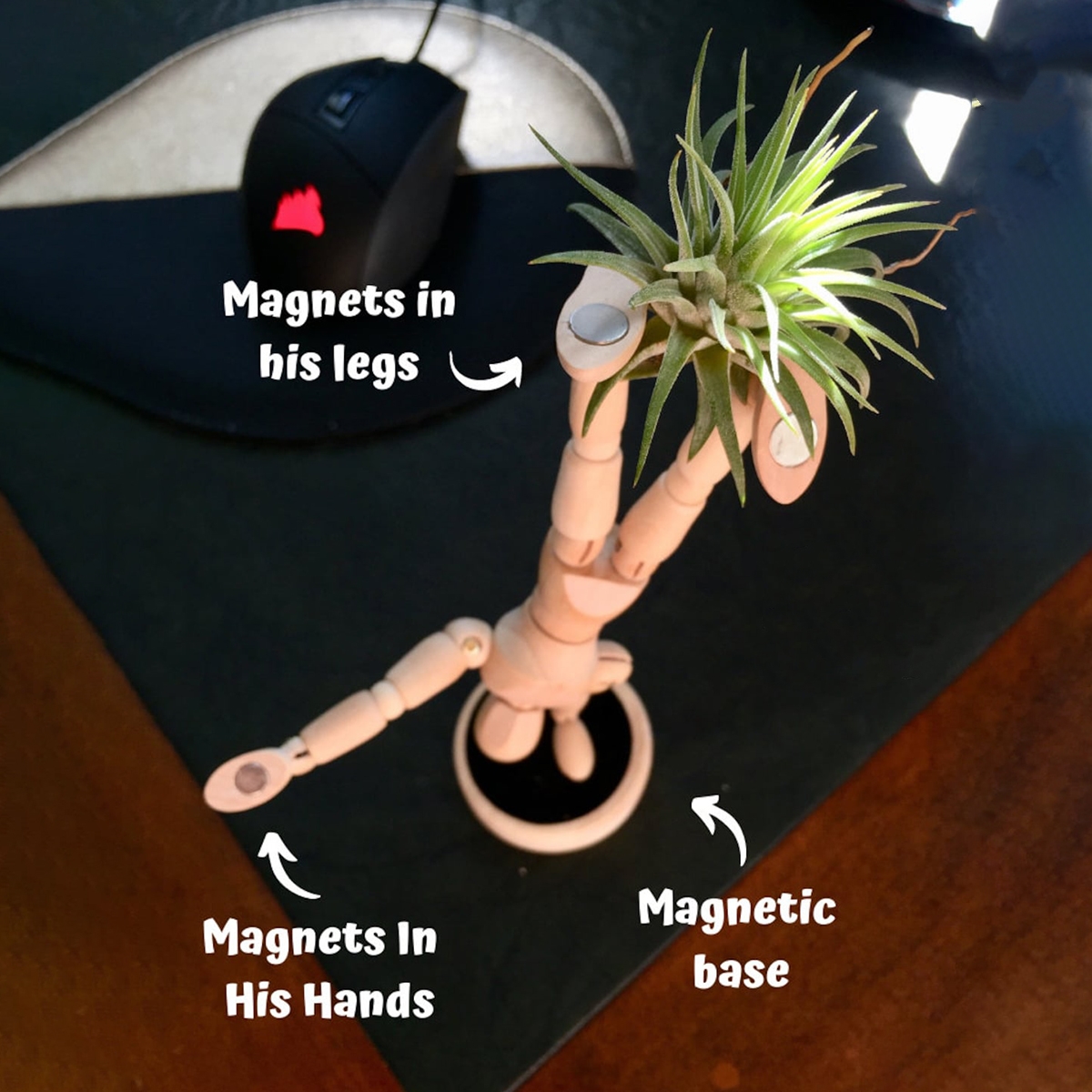 Unique Magnets Planters