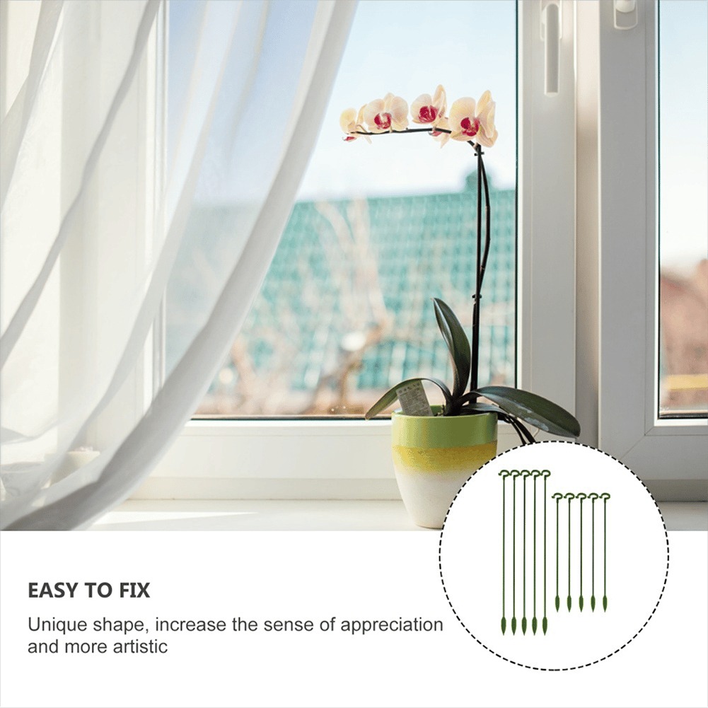 ⏫️Upgrade Fiberglass Plant Support Stake⏫️
