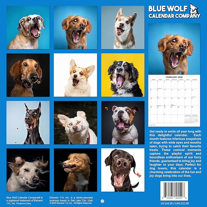 Treat Time 2026 Wall Calendar