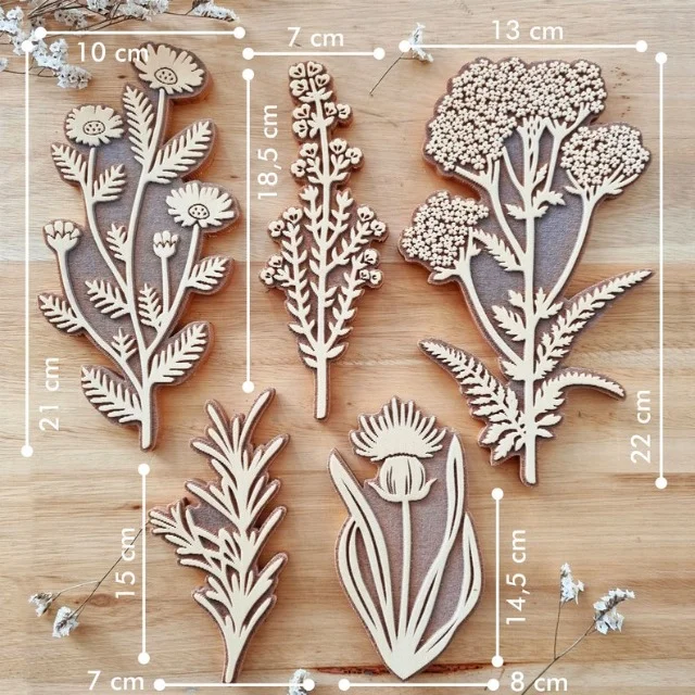 Herbarium Rubber Stamp