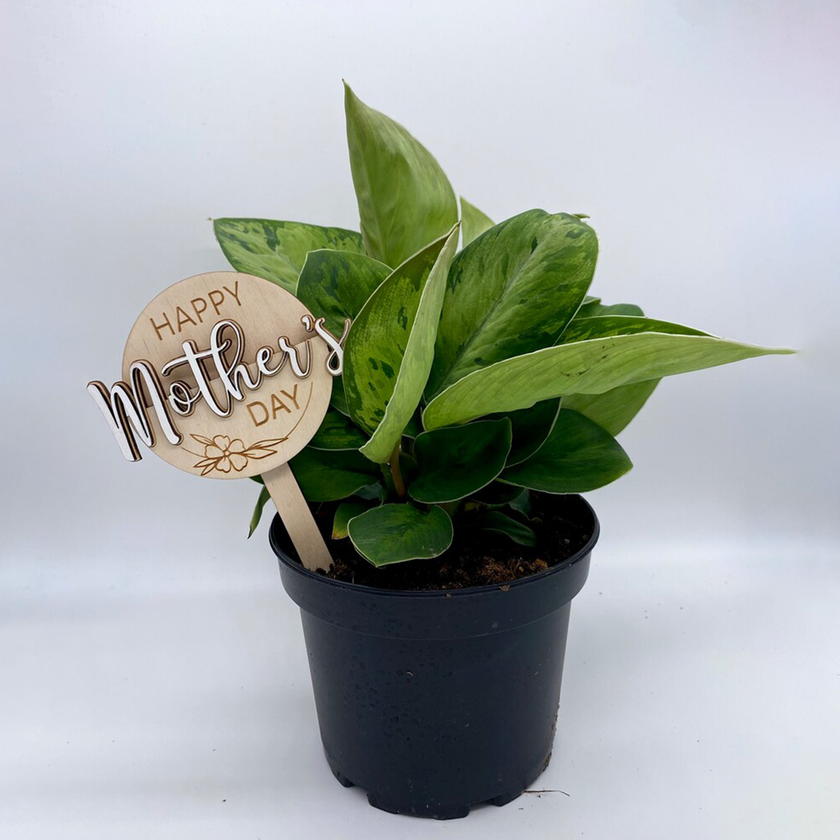 Mother’s Day Gift Card Holder 