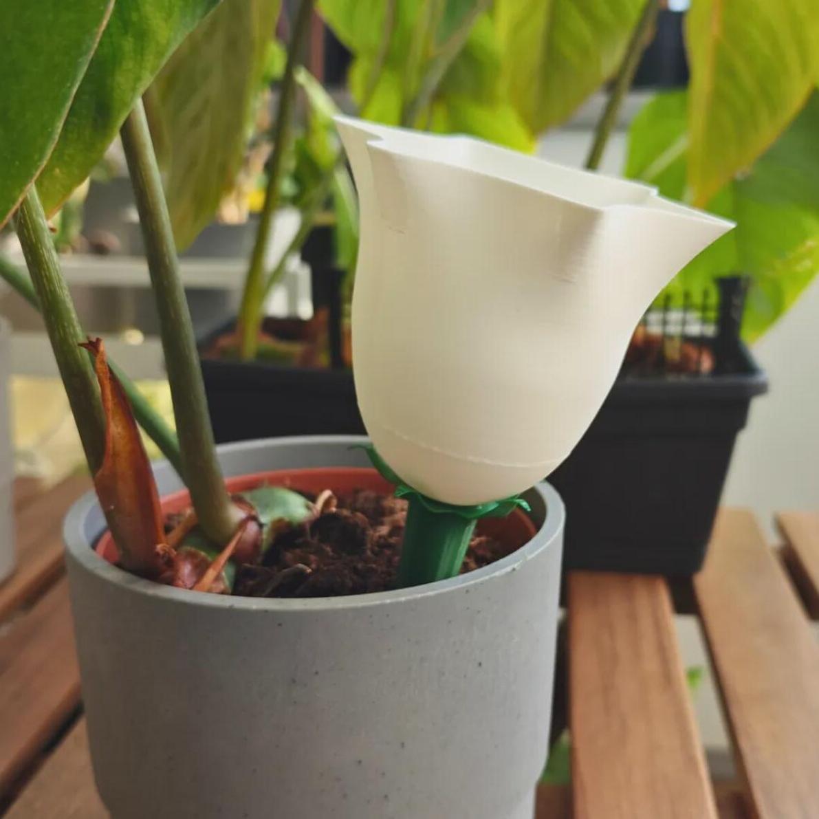 🌷Self Watering Planter - Plant Watering