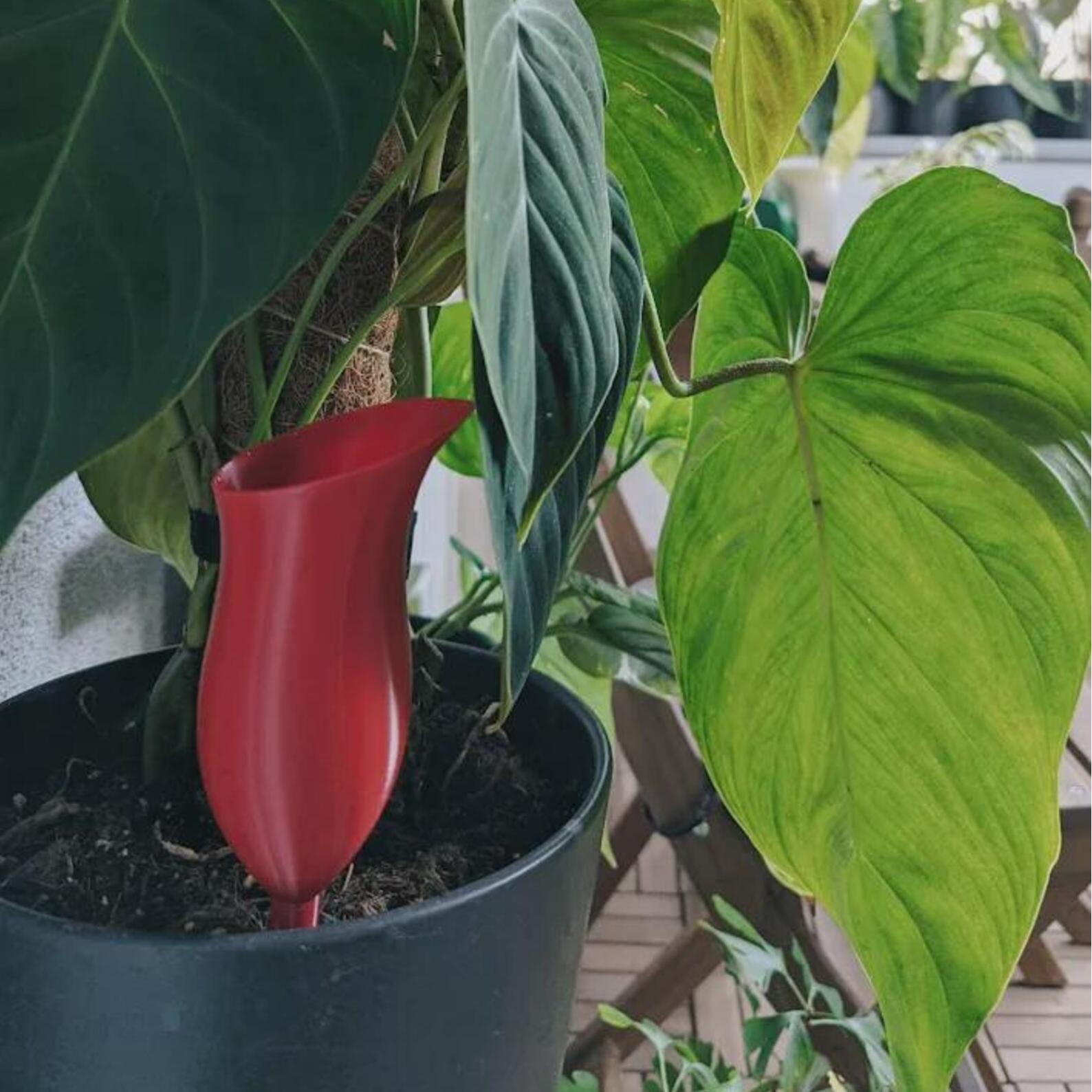🌷Self Watering Planter - Plant Watering
