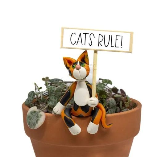 Funny Cat Pot Sitter