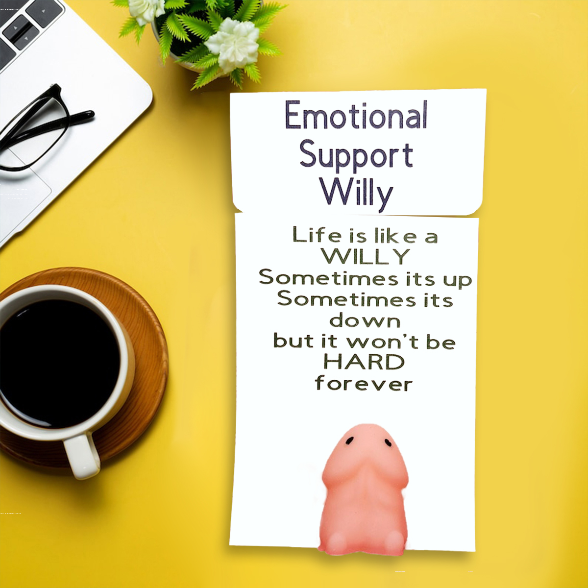 Emotional Support Willy