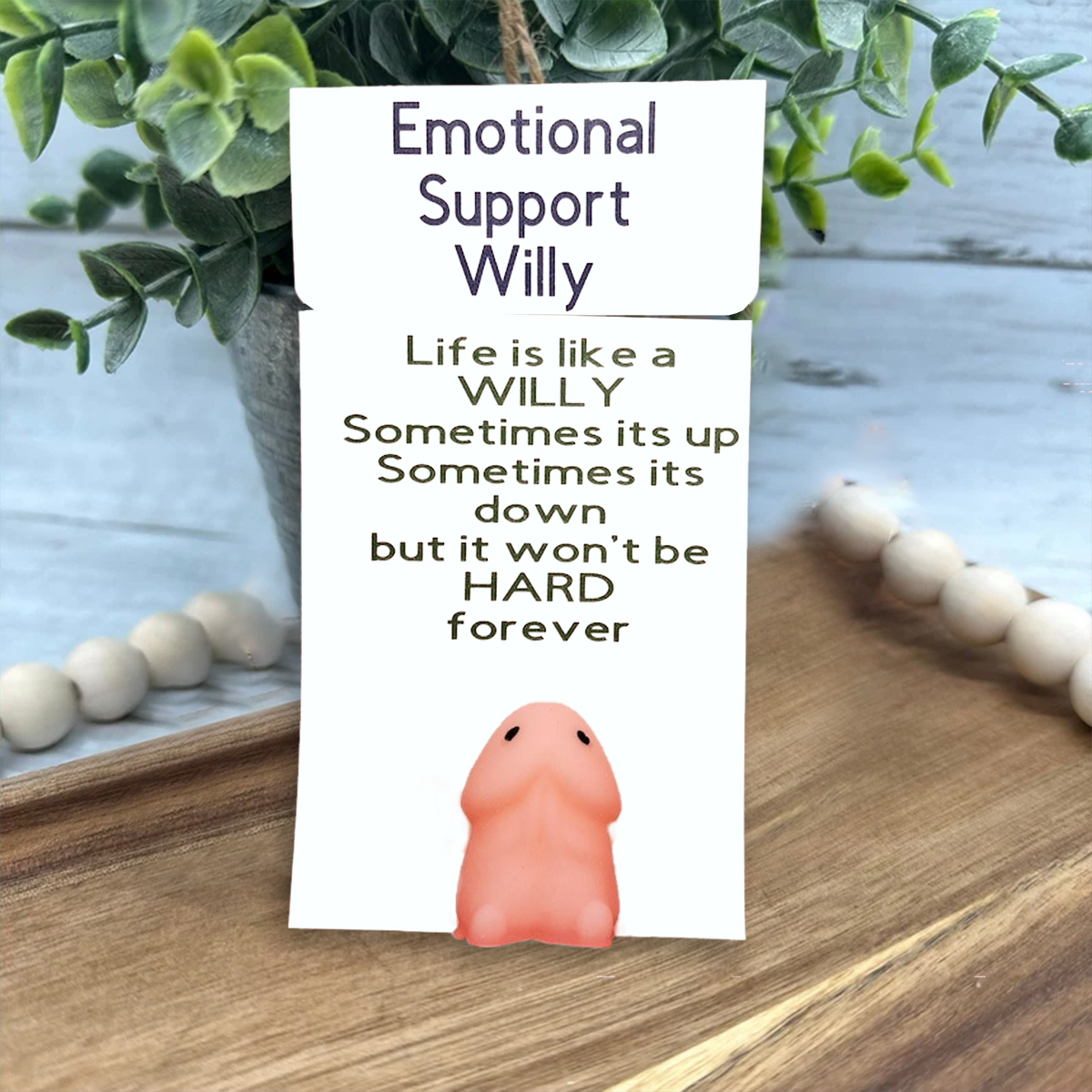 Emotional Support Willy