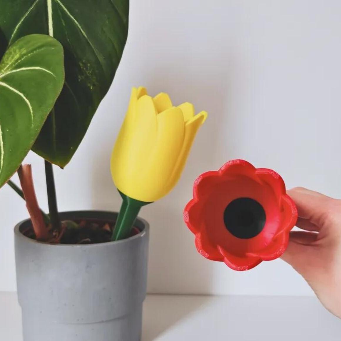 🌷Self Watering Planter - Plant Watering