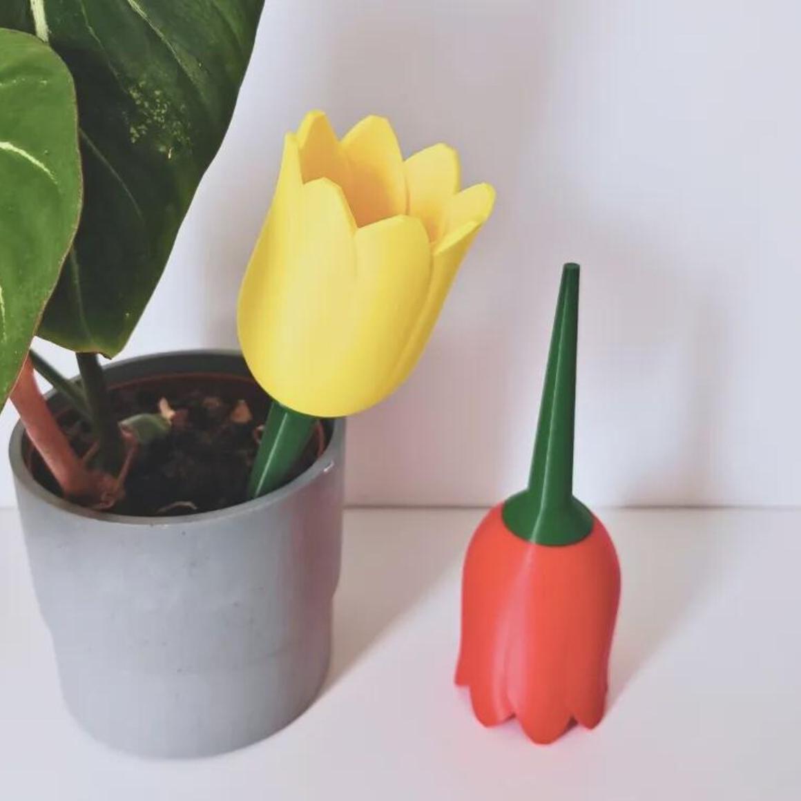 🌷Self Watering Planter - Plant Watering