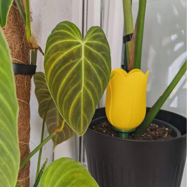 🌷Self Watering Planter - Plant Watering
