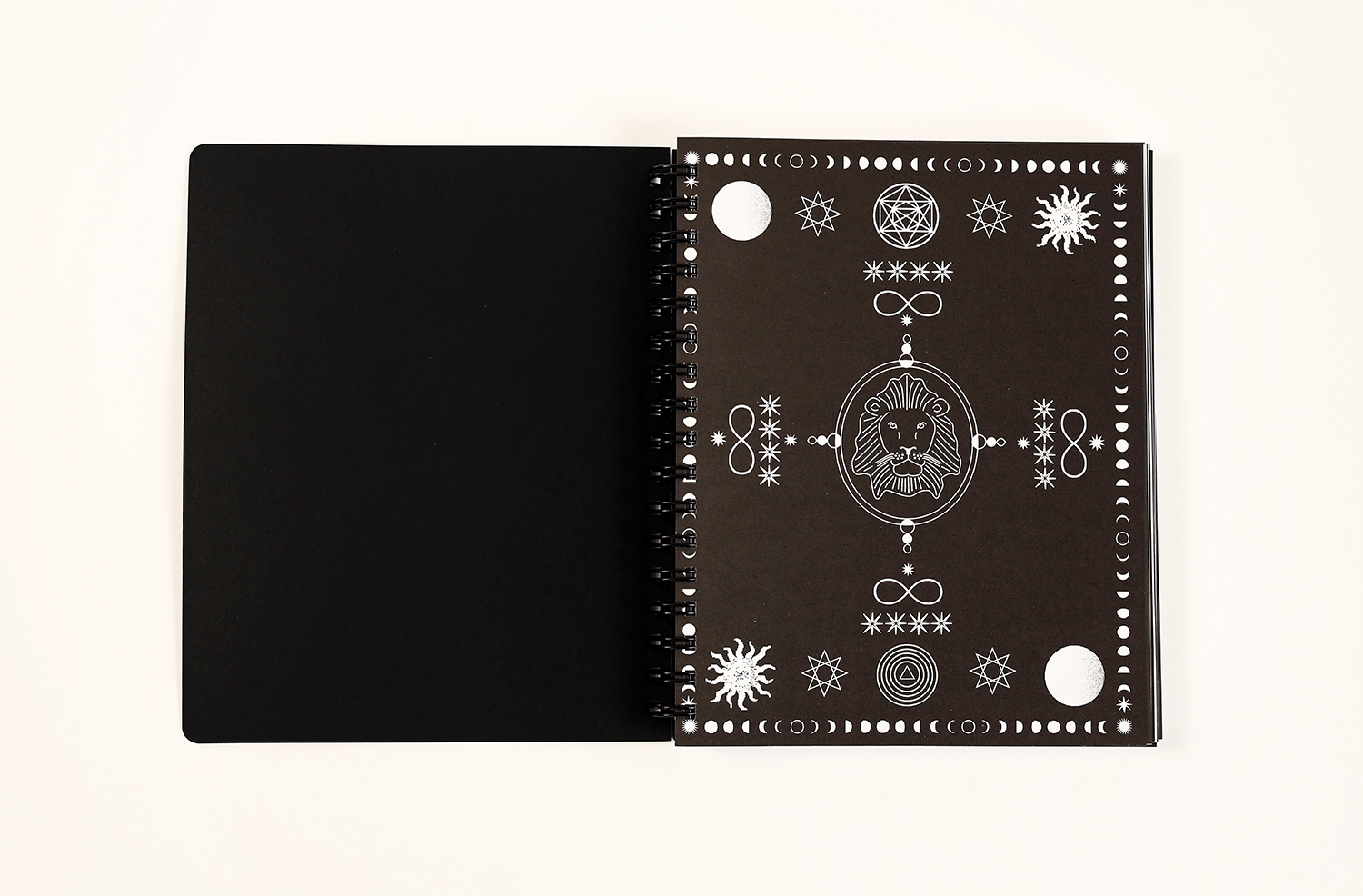 📚2025 Many Moons Lunar Planner