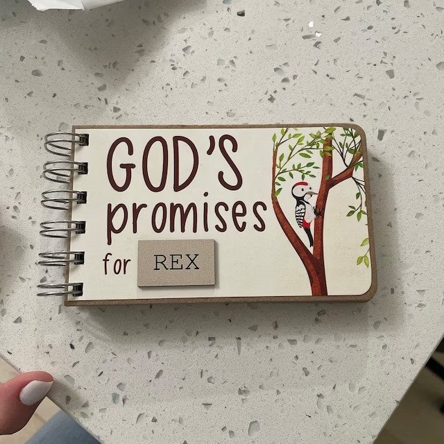 ✝Gods Promises Book for Toddlers - 🎁Christian Baptism Gift