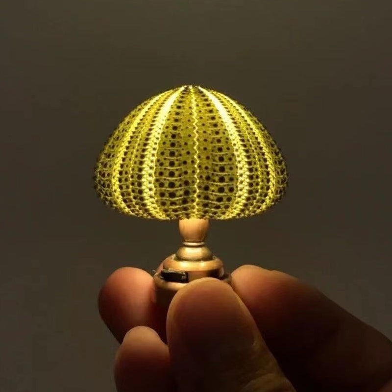 🔥HOT SALE🔥DIY Sea Urchin Night Light💓