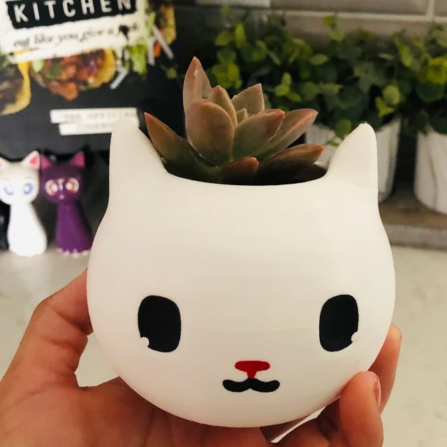 🐱Cat Planter Cat Lover Gift🎁