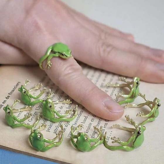 Latest-Tree Frog Ring & Earrings