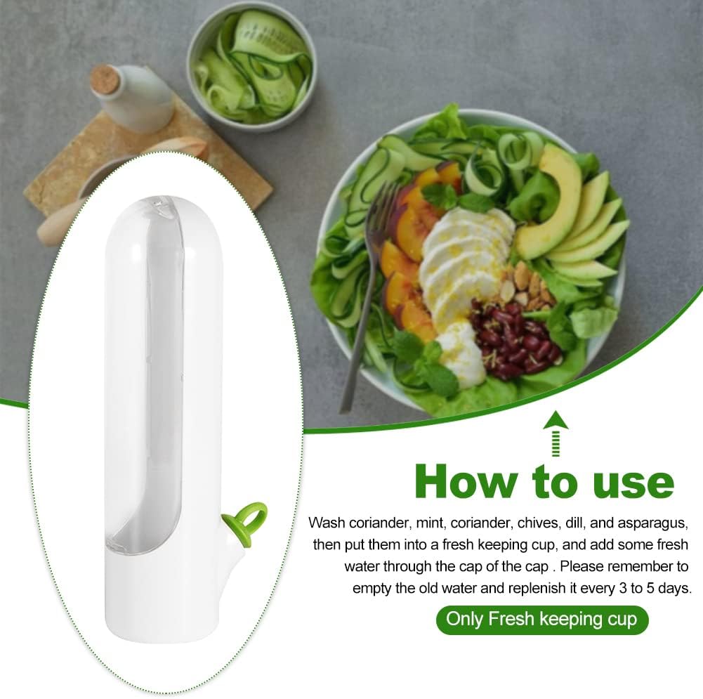 🔥Last Day Promotion 50% OFF🔥 - Fresh vegetable storage box