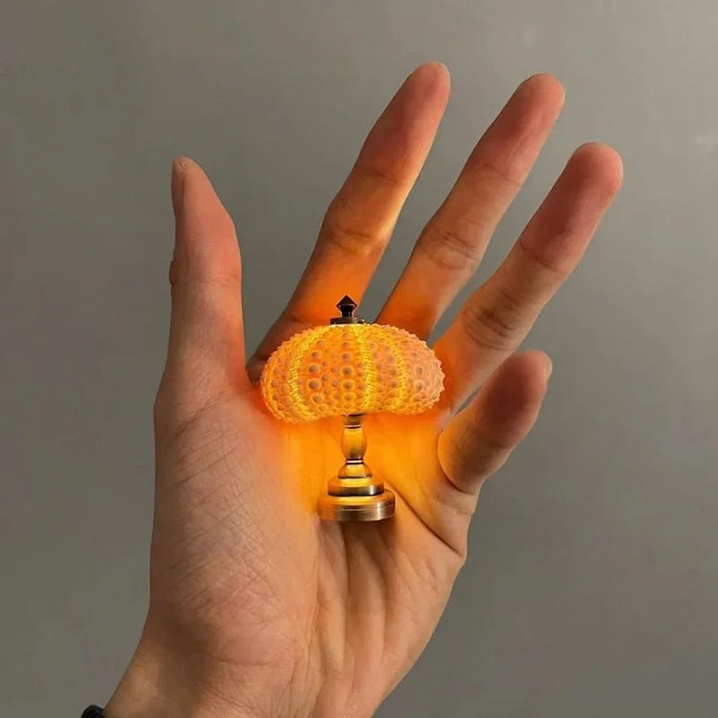 🔥HOT SALE🔥DIY Sea Urchin Night Light💓