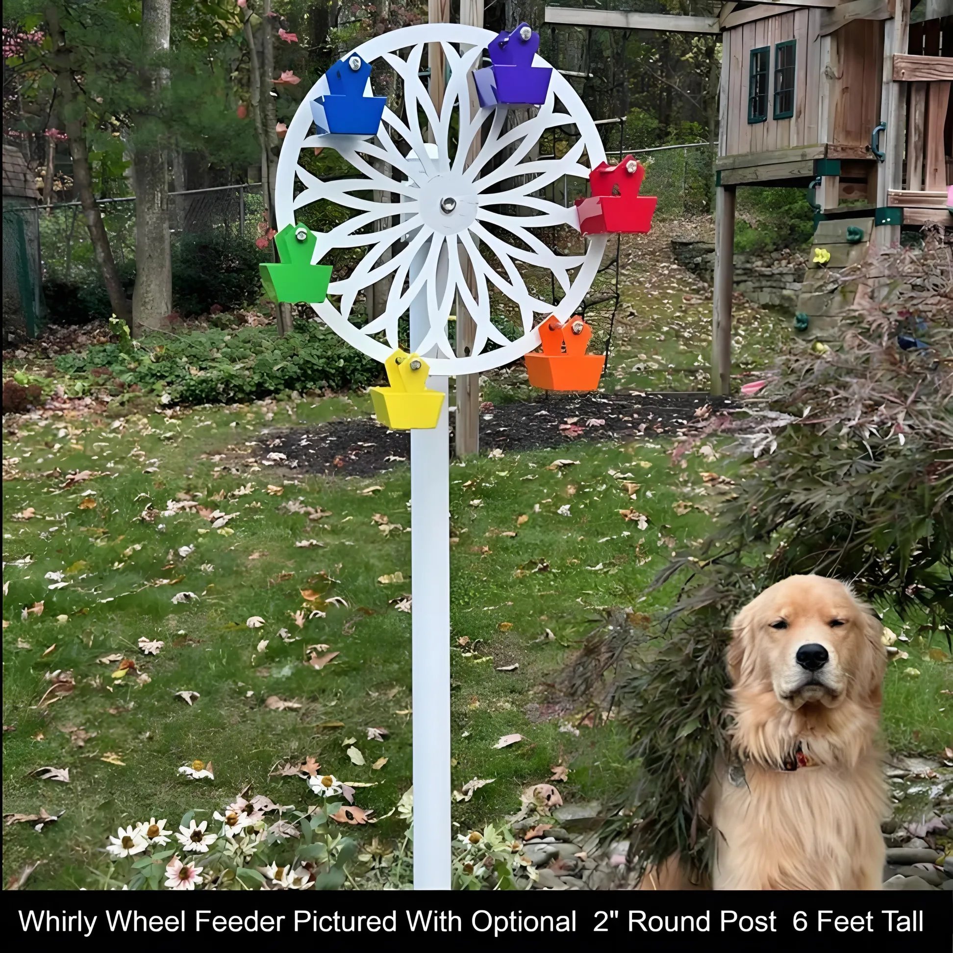 LAST DAY 49% OFF🎡The Ferris Wheel of Fun for Your Feathered Friends
