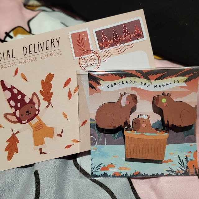 💖Cute Capybaras Card Gift😍Adorable Capybara Spa Magnets🎁