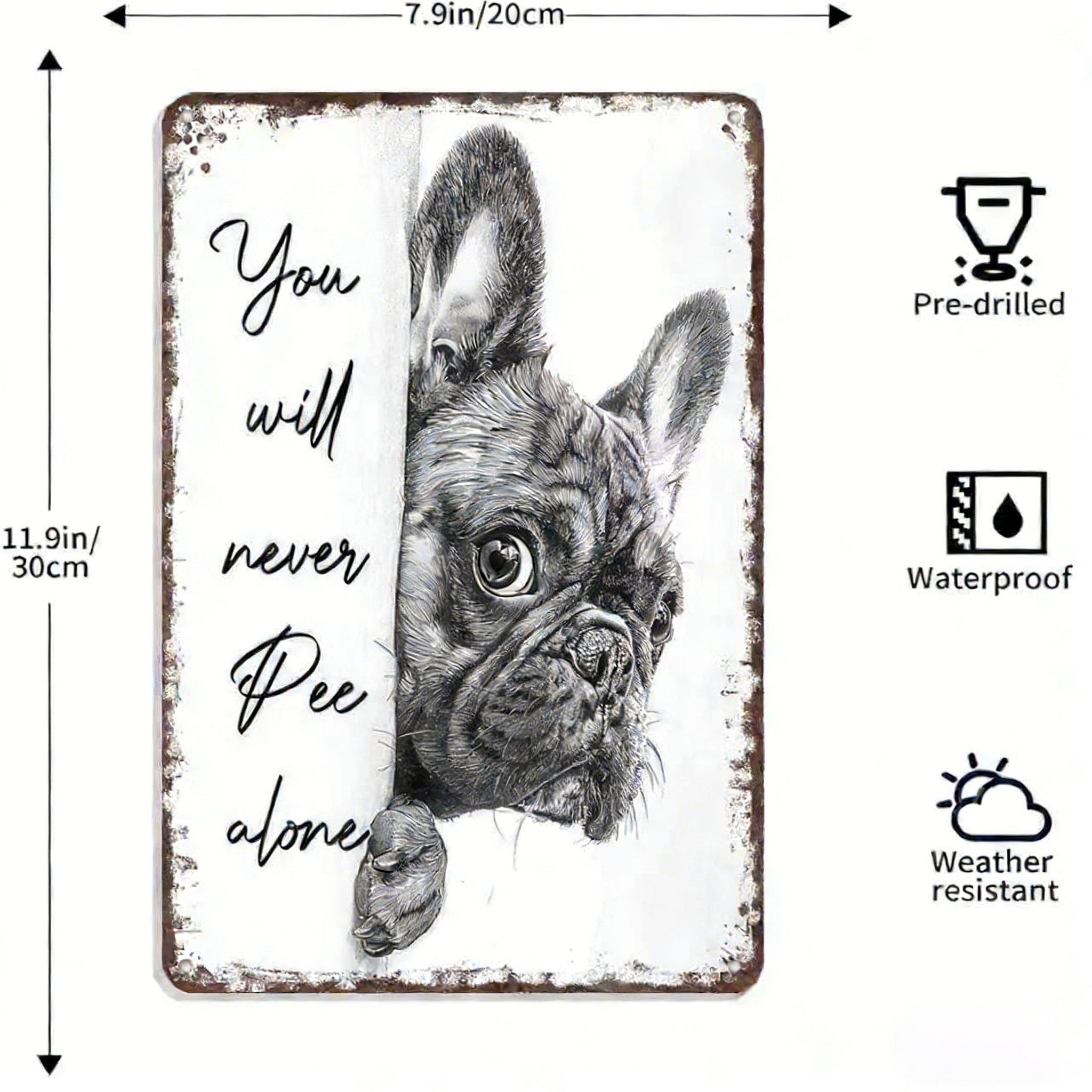 Vintage Black & White Cat Wall Art