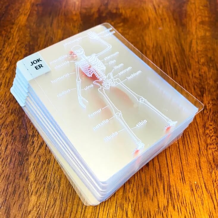Last Day 49% OFF🎁The Body Deck