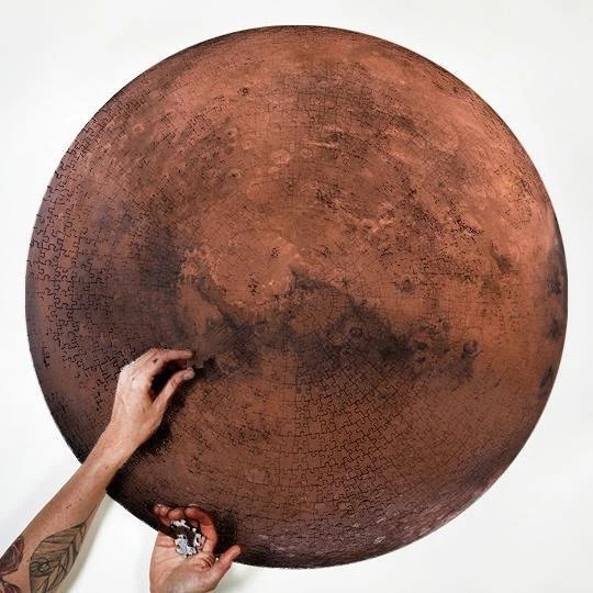 Moon Circle Puzzle