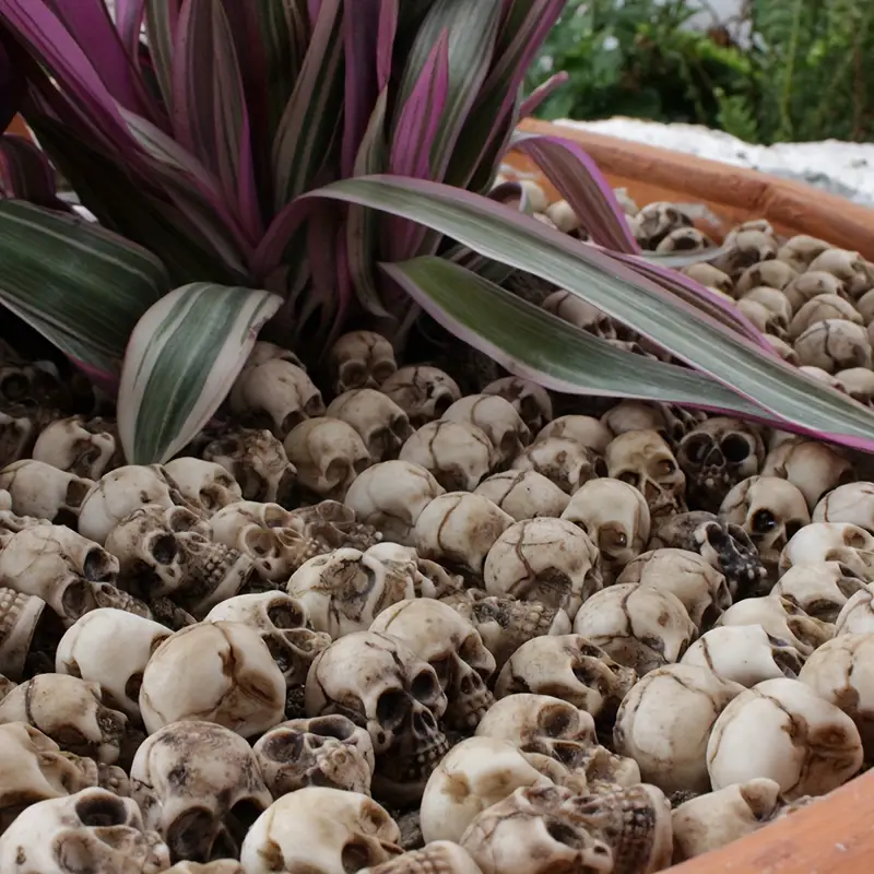 💀 Halloween Sale - 50% OFF 🔥 - Flowerpot Mini Skull Set(20 PCS)
